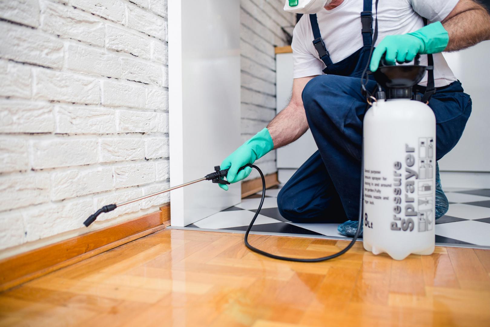 Pest Inspections Protect Your Home