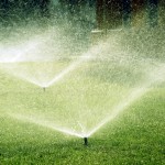 Sprinkler-System