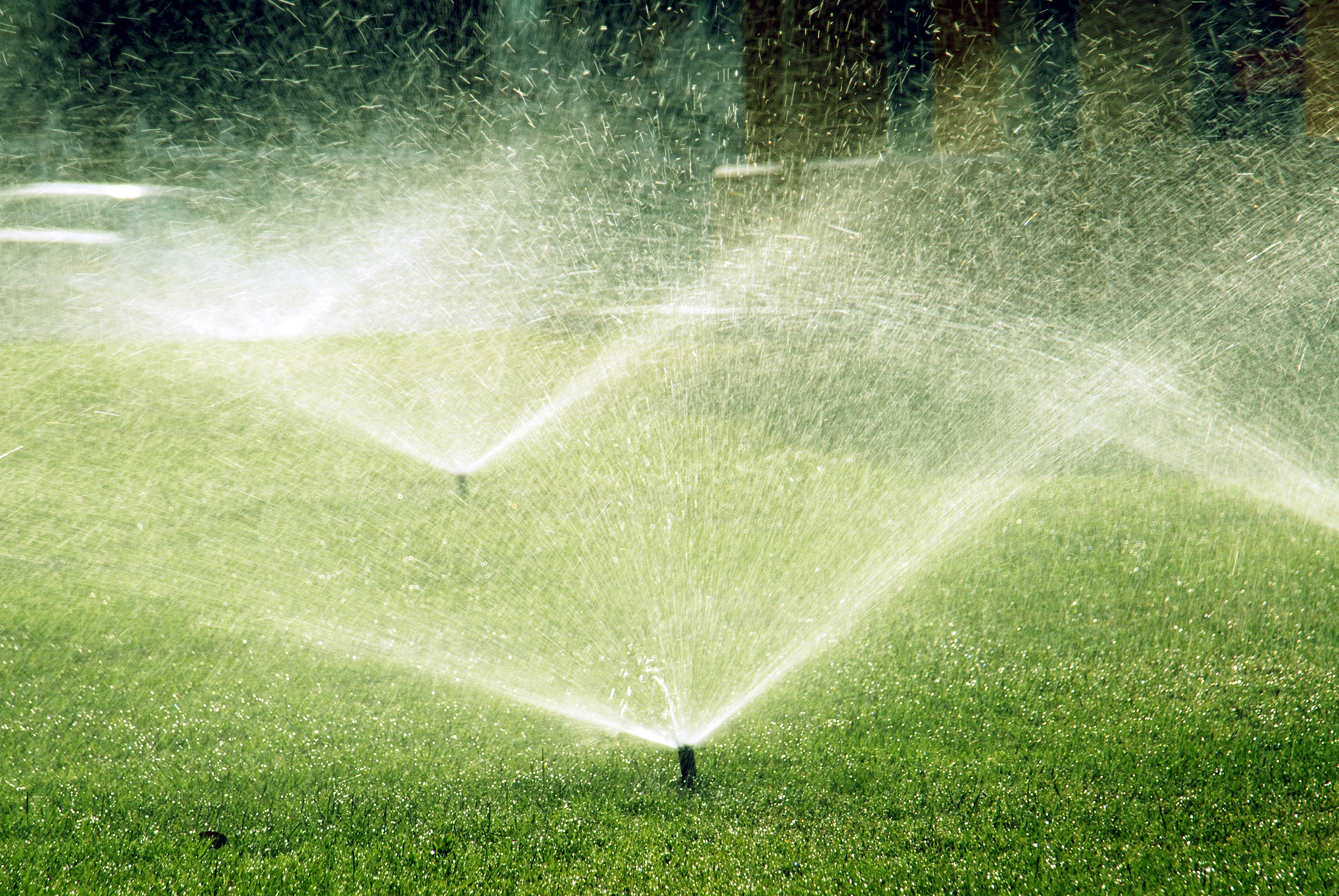 Sprinkler-System