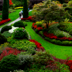 Tips-and-tricks-for-landscaping-your-gardenTips-and-tricks-for-landscaping-your-garden