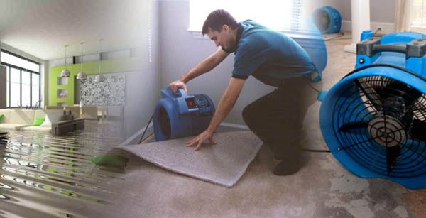 how-irvine-water-damage-works-for-restoration-go-to-home-stay