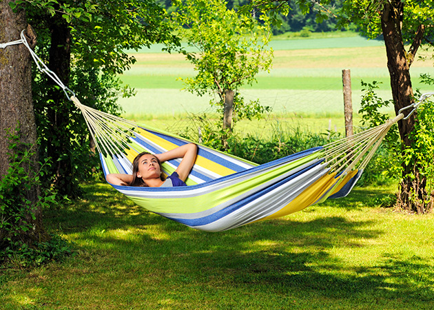 Guitar-Hammock