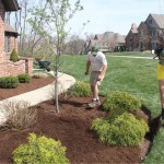 Landscape-Service