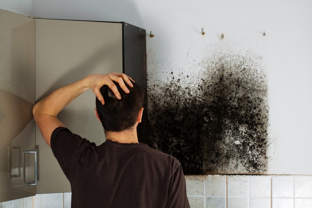 Warning Signs That You May Have Mold In Your House Or Apartment Go To