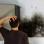 Man shocked to mold a kitchen cabinet.