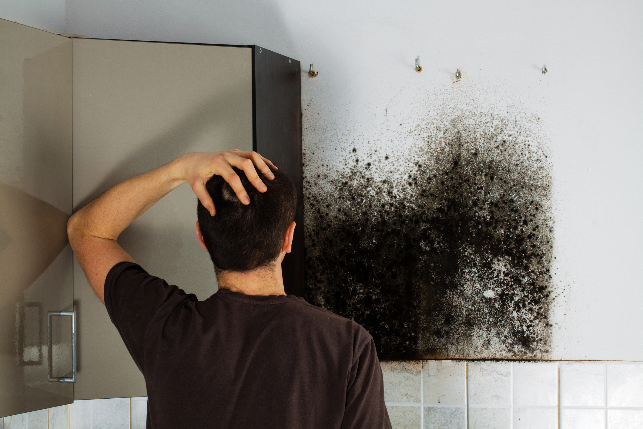 Man shocked to mold a kitchen cabinet.