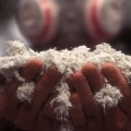 The Dangers of Asbestos