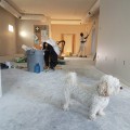 Tips for Finding the Right Painting Contractor in Denver