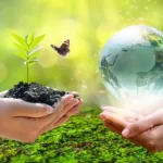5-Ways-to-Help-the-Environment