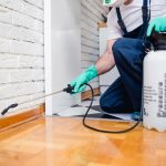Pest Inspections Protect Your Home