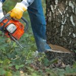 Tree Cutting Vaughan