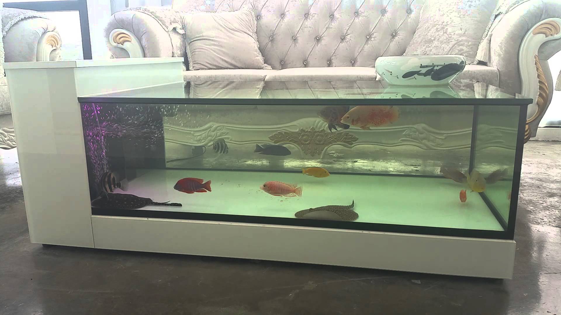 aquarium coffee table