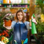 Learn How To Make Natural Insecticide And Garden Pest Control