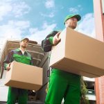 moving back to the U.S. from Japan
