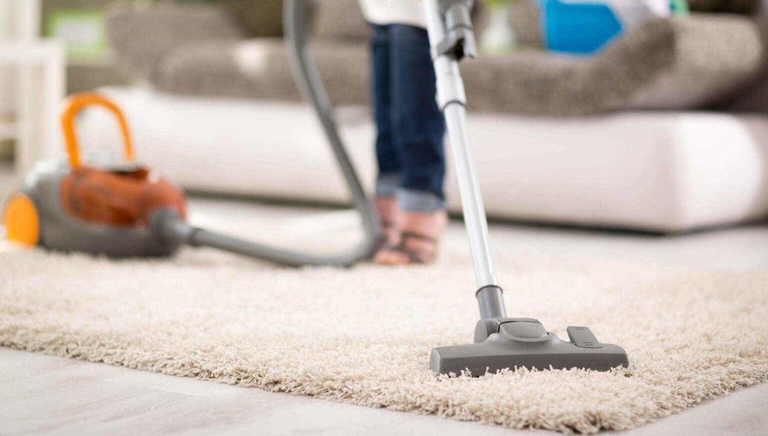 Why Would You Need a Professional Carpet Cleaning Service