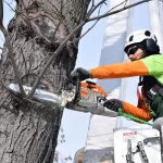 Tree-Service-Worker-Called