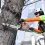 What is a Tree Service Worker Called?