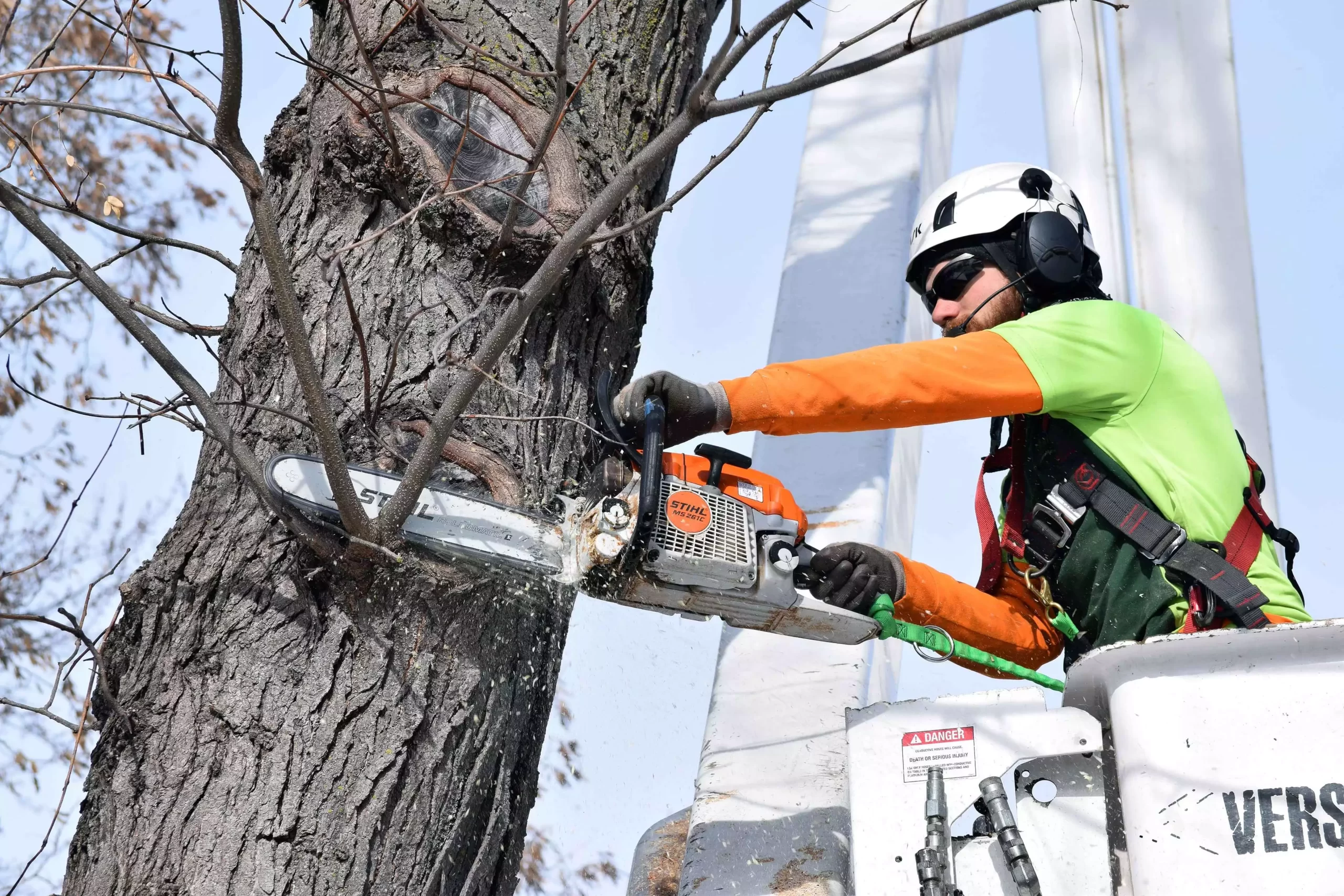 Tree-Service-Worker-Called