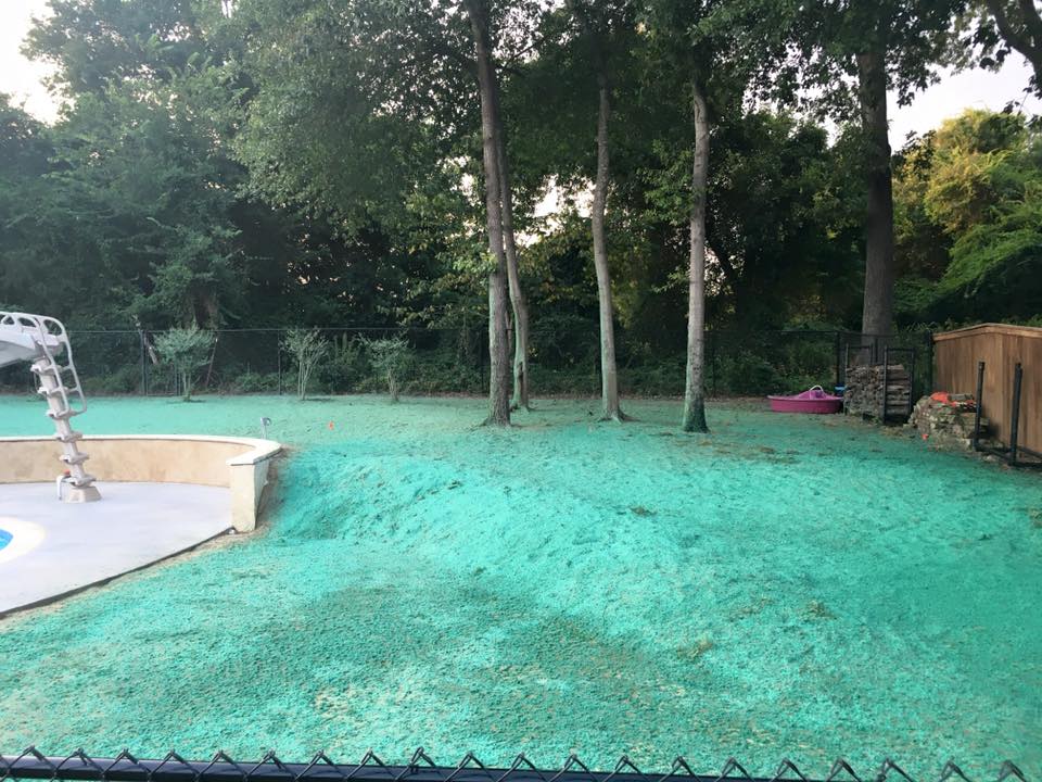 Hydroseeding Contractors