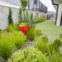 Low-Maintenance Plants