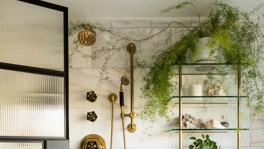 Best Bathroom Plants for Every Light Level Best Bathroom Plants for Every Light Level