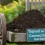 How to Choose the Right Topsoil for Your Connecticut Garden