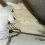 DIY vs Pro Crawl Space Insulation: Oak Springs Guide