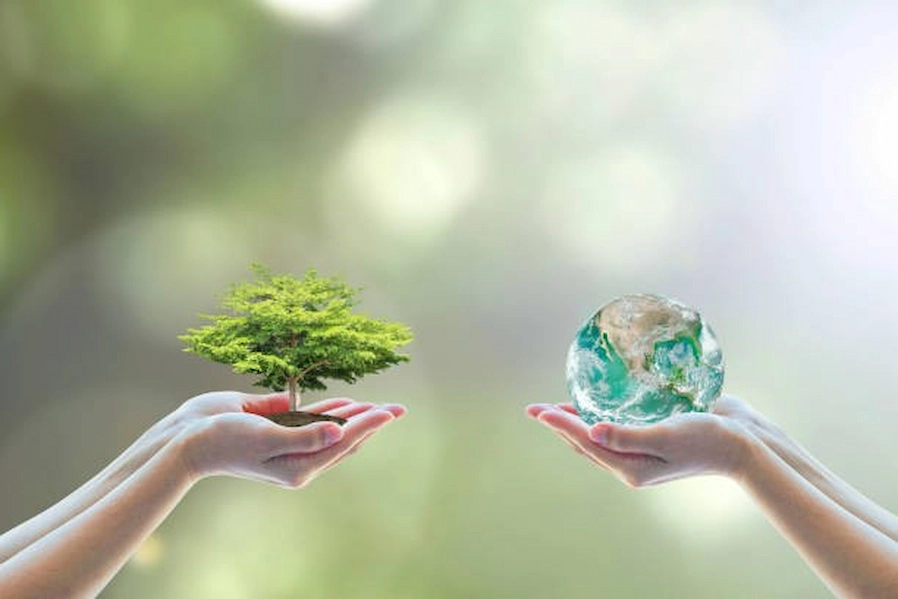 Green Living Unleashed