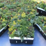 Green Roof Tray