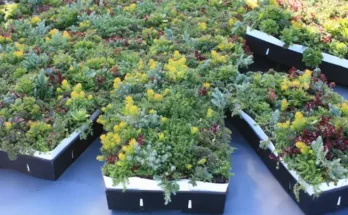 Green Roof Tray